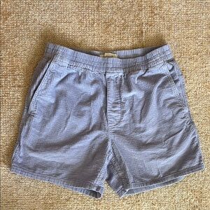Madewell Men's Soft Purple Corduroy Shorts with Pockets, Size Small